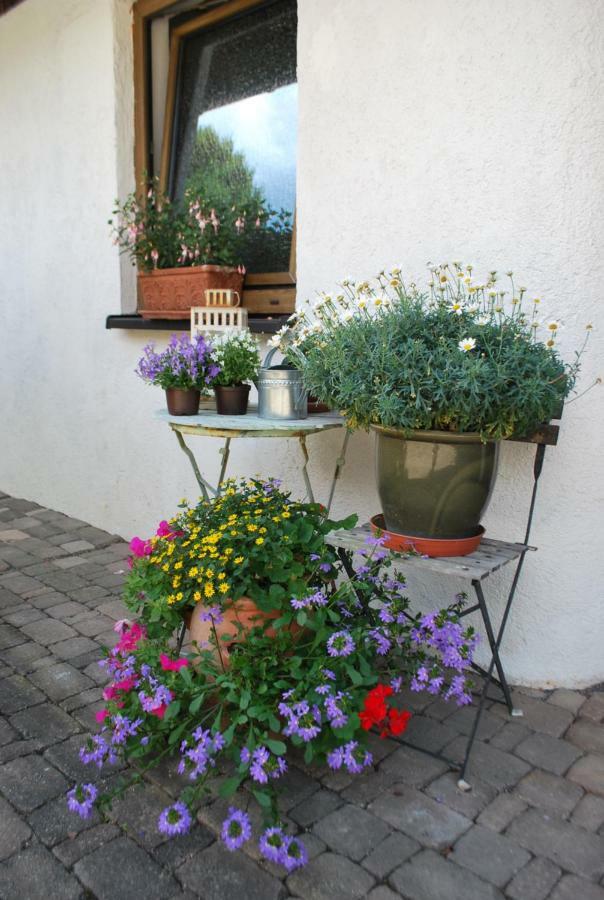 Homestay Cozy Room Markdorf Exteriör bild